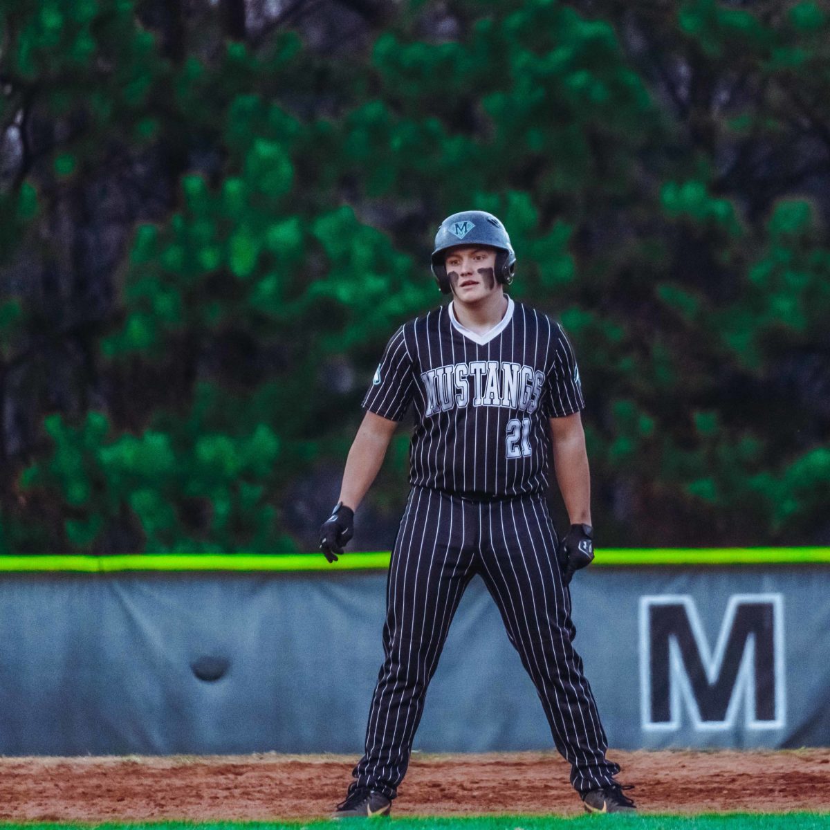Willie_Prince_Kennesaw_Mountain_baseball.121